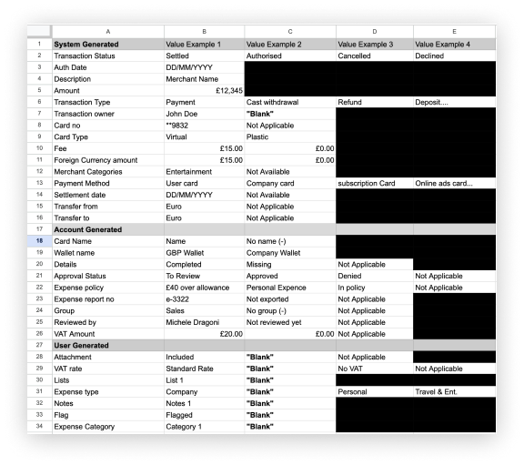 Spreadsheet of example values per column, grouped into system, account and user generated