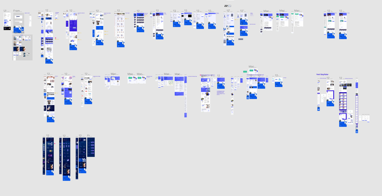 Overview of the full Massive Bio web redesign file